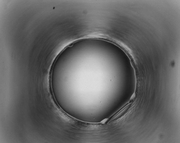 X0000100211423200806061335