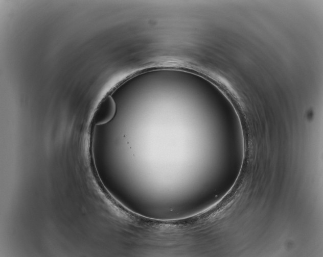 X0000100211424200806061335