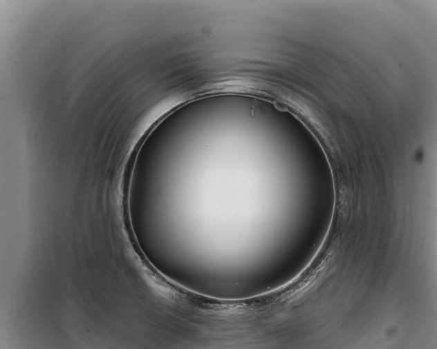 X0000100211426200806061335