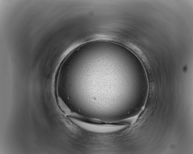 X0000100211427200806061335