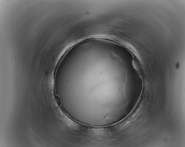 X0000100211428200806061335