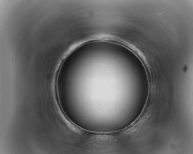 X0000100211429200806061335