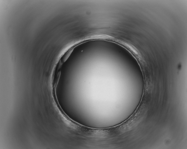 X0000100211430200806061335