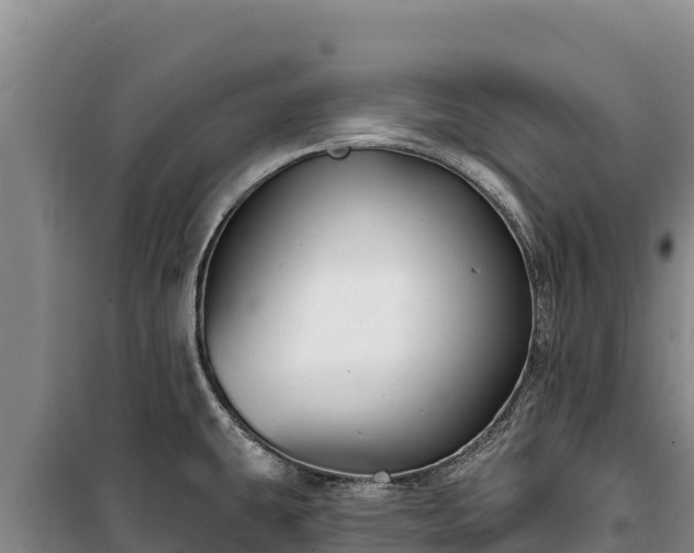 X0000100211431200806061335