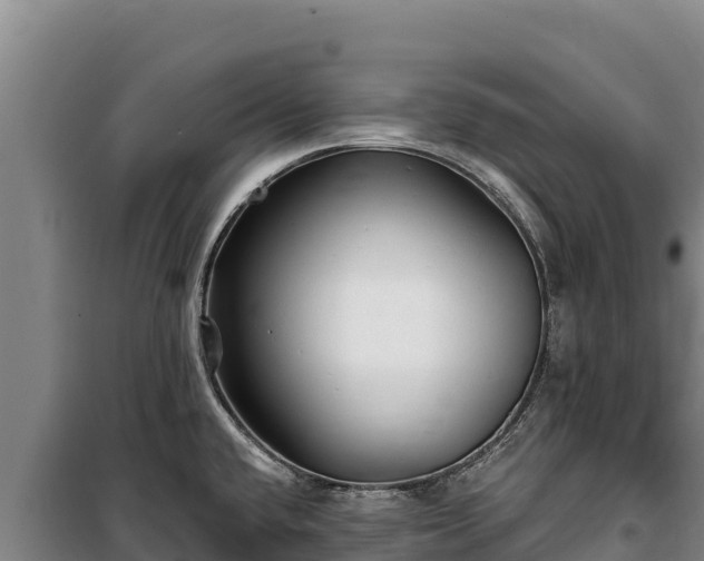 X0000100211432200806061335