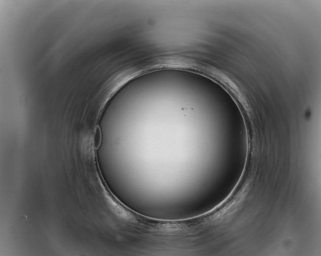 X0000100211433200806061335