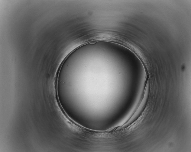 X0000100211434200806061335