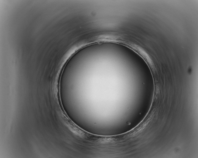 X0000100211435200806061335