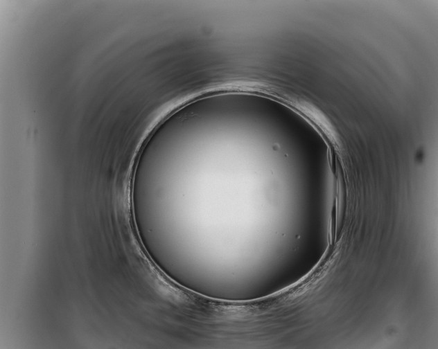 X0000100211436200806061335