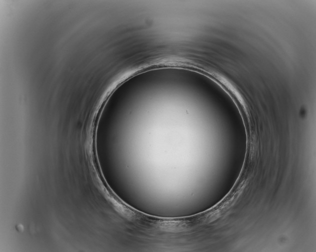 X0000100211437200806061335