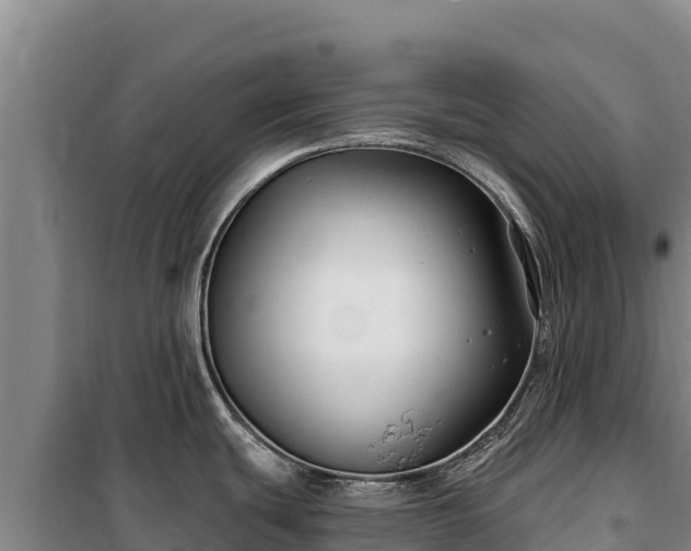 X0000100211439200806061335