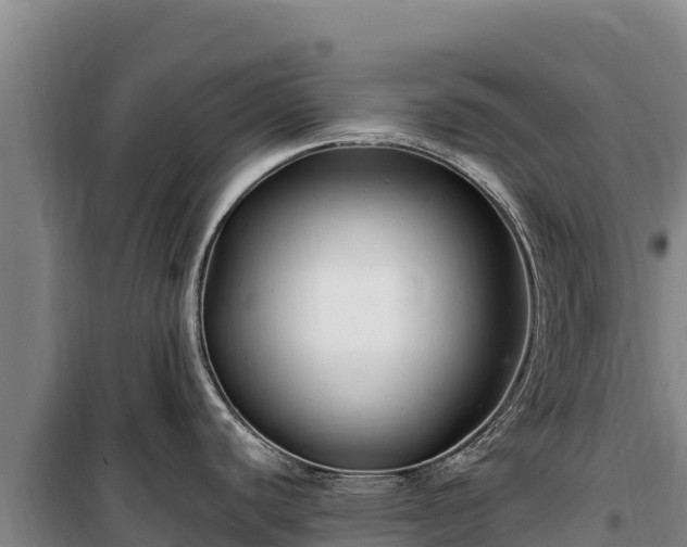 X0000100211440200806061335