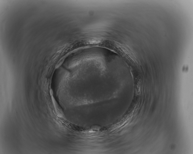 X0000100211441200806061335