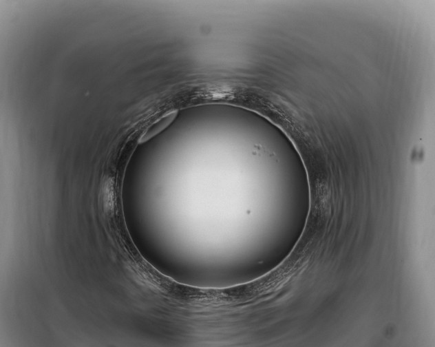 X0000100211442200806061335