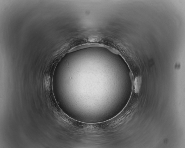 X0000100211443200806061335