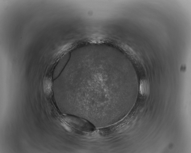 X0000100211444200806061335