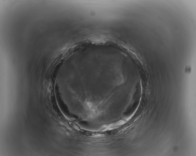 X0000100211445200806061335