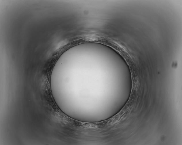 X0000100211446200806061335