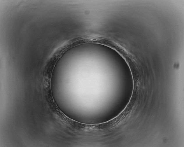 X0000100211447200806061335