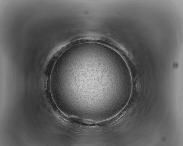 X0000100211448200806061335