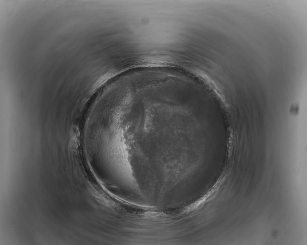 X0000100211449200806061335