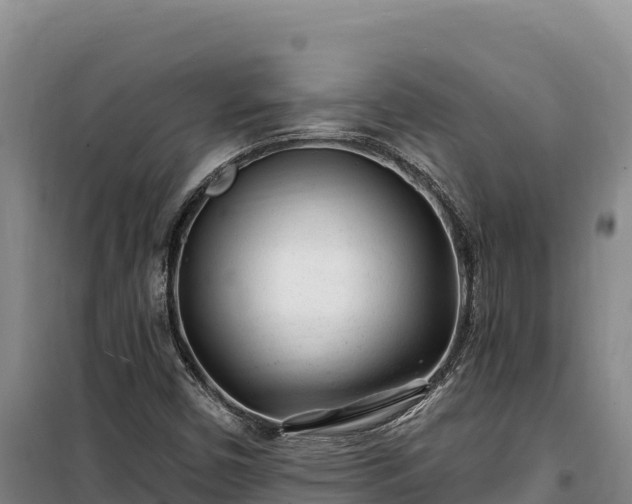 X0000100211450200806061335