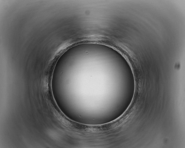 X0000100211451200806061335