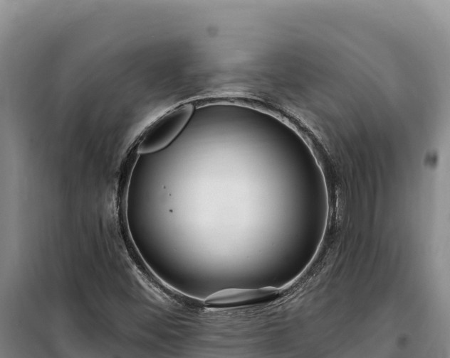 X0000100211452200806061335