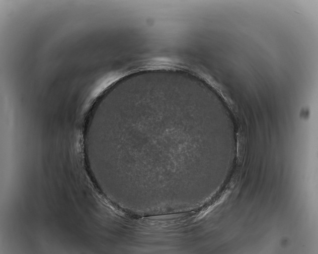 X0000100211453200806061335