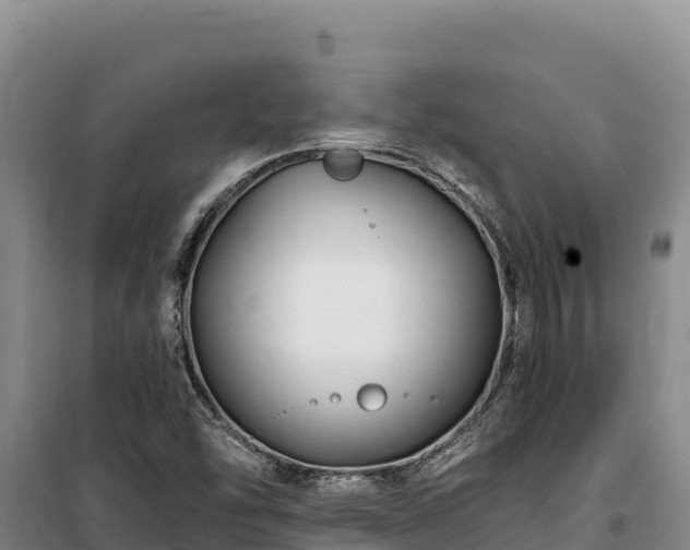 X0000100211454200806061335