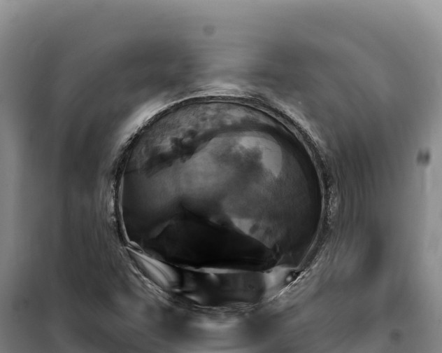 X0000100211455200806061335