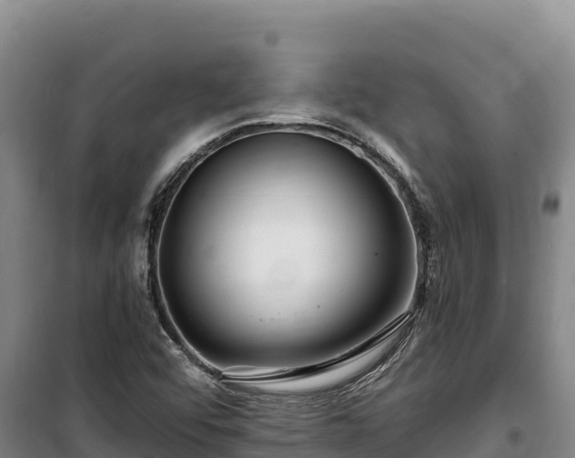 X0000100211456200806061334