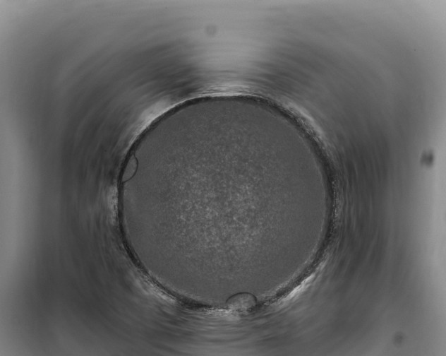 X0000100211457200806061334