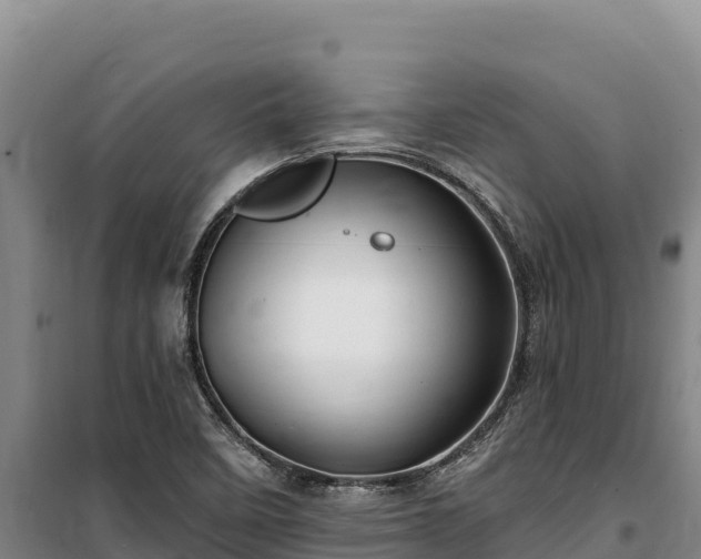 X0000100211458200806061334