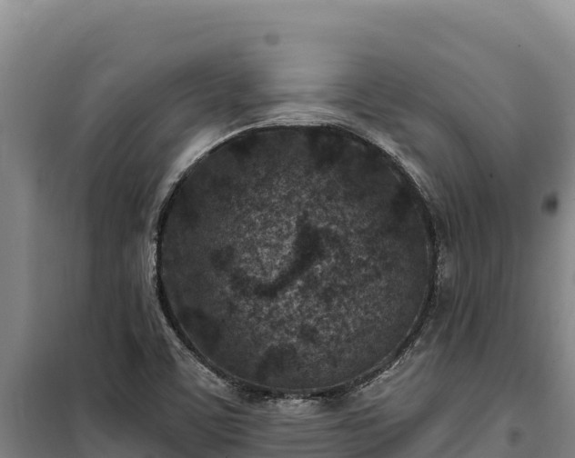 X0000100211459200806061334