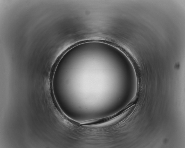 X0000100211460200806061334