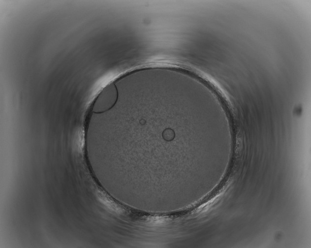 X0000100211461200806061334