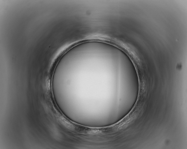 X0000100211462200806061334