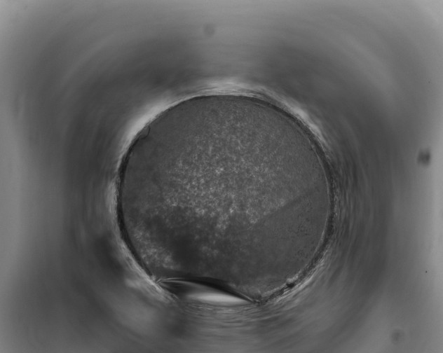 X0000100211463200806061334