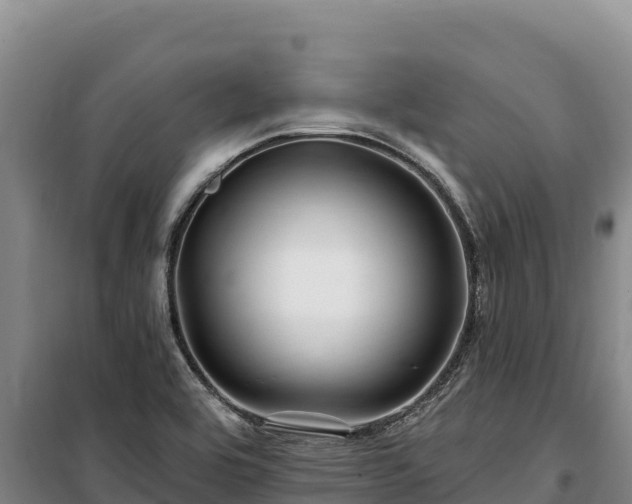 X0000100211464200806061334