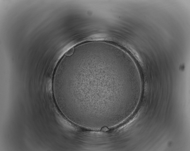 X0000100211465200806061334