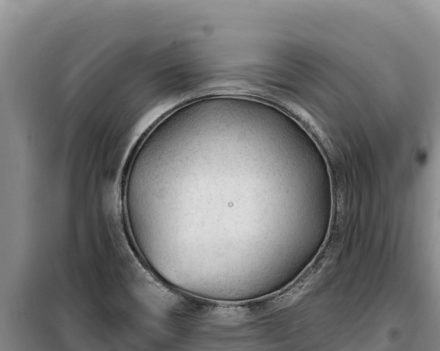 X0000100211466200806061334