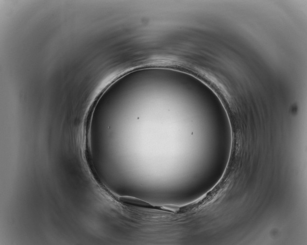 X0000100211467200806061334