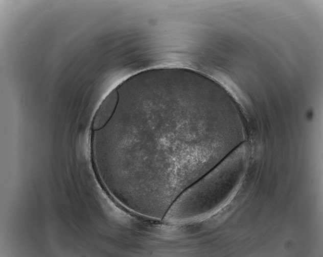 X0000100211468200806061334