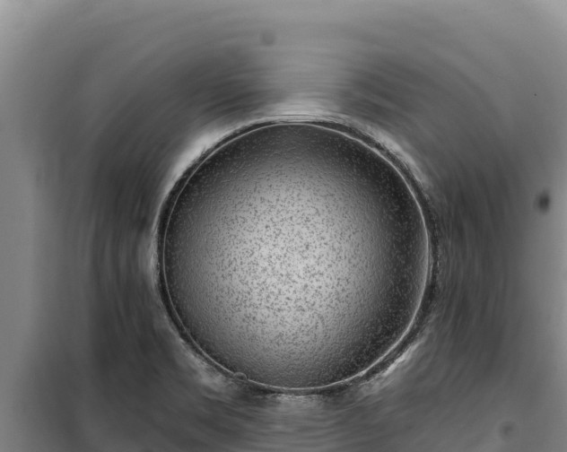 X0000100211469200806061334