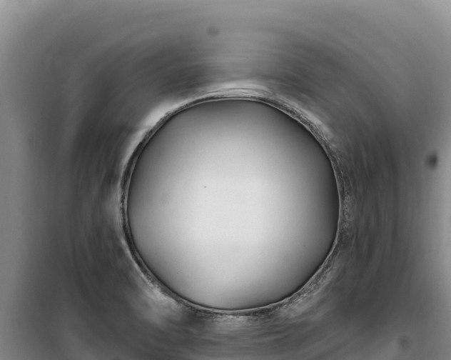 X0000100211470200806061334