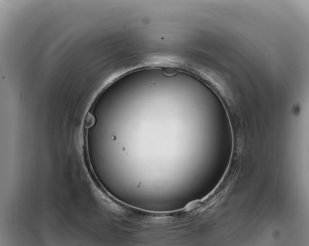 X0000100211471200806061334