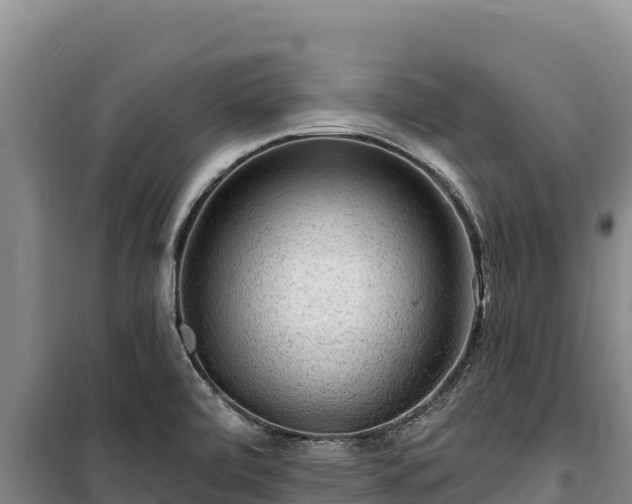 X0000100211472200806061334