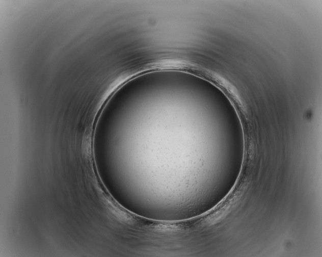 X0000100211473200806061334