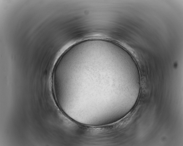 X0000100211474200806061334